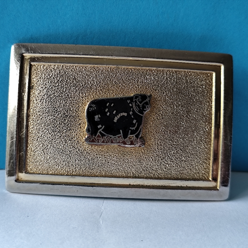 Vintage Gold-toned metal buckle